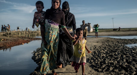 WHO : Severe Shortage of Financing to Care for Myanmar Muslims