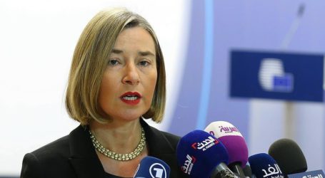 EU: We Will Continue Support to Resilience of the Syrian Population