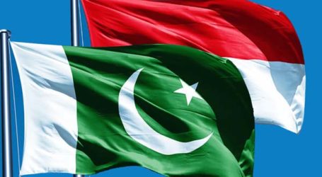 Pakistan, Indonesia Exchange Views on Political, Security, Economic Policy Areas