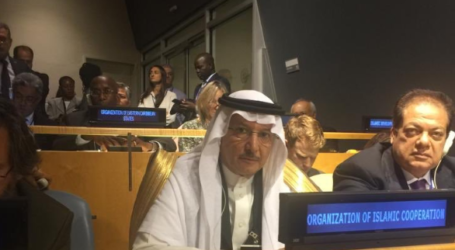 OIC Raising Rohingya Plight at UN General Assembly in New York