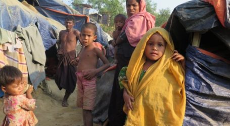 Greater role of ASEAN expected in addressing Rohingya ethnic cleansing