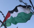 IAEA Adopt a Resolution to Design Palestine as State