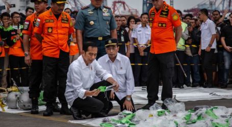 Lion Air Crash: Indonesia Finds Faults in More New Boeing Planes