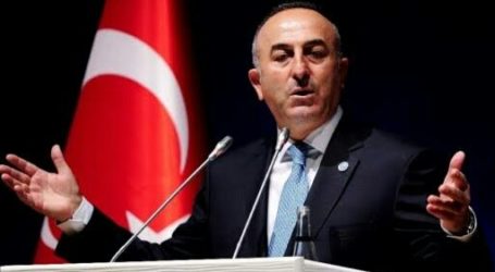 Turkey Condemns Israel for Unrenew TIPH’s Mandate
