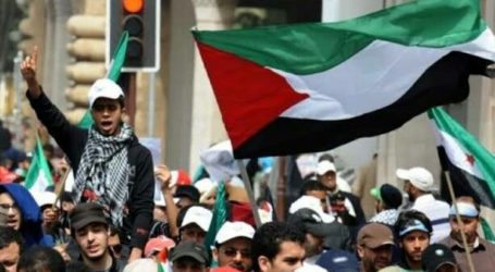 Netherlands Allow Gaza and the West Bank as Official Birthplace