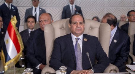 Egypt to Host Summits to Discuss Sudan and Libya