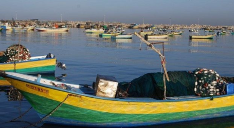 Fishing Zone in Gaza Narrowed Down Again by Israel