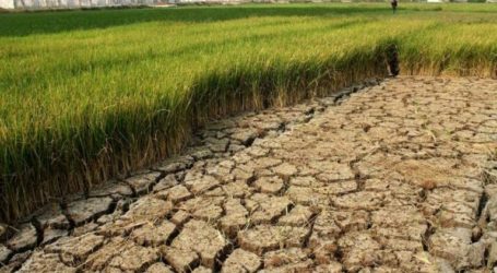 Anticipating Drought, Indonesian Govt Allocates 93,860 Water Pumps