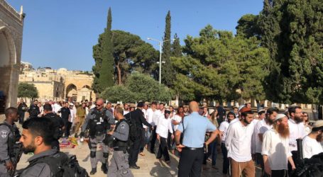 At Least 190 Settlers Defile Aqsa Mosque