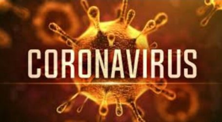 Coronavirus Cases in Indonesia Increase to 19 People