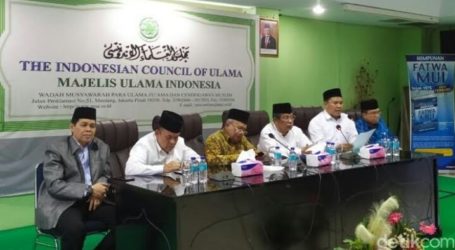 MUI: There is no Problem with Indonesian Hajj Elimination this year