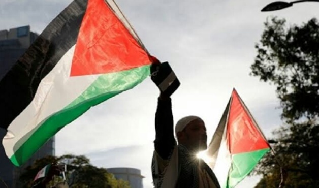 Palestine Must be United to Stop Israel's Annexation - MINA News Agency