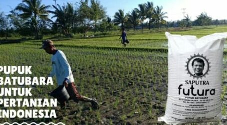 Indonesian Fertilizer Technology Gets Patents from the US