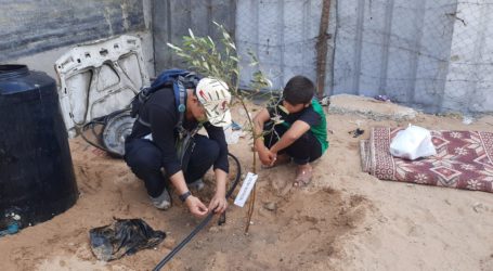 Indonesian Volunteers Plant 1,000 Olive Trees in Gaza