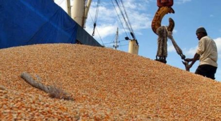 Indonesia Export 6,100 tons of Corn from Sulawesi to Philippines