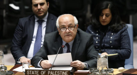 Palestine’s UN Envoy to Begin Consultations on Holding a Peace Conference