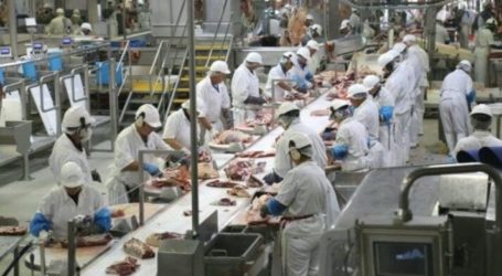 Poland Export Halal Meat Industry until 2025
