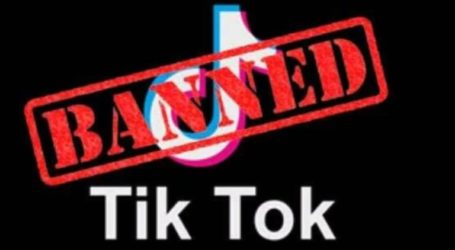 TikTok Delete Palestinian News Network