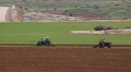 Israeli Occupation Forces Halt Work on an Agricultural Road in Northern Jordan Valley
