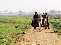 Gaza Loses US$ 1,5 Million Due to Floods by Israel