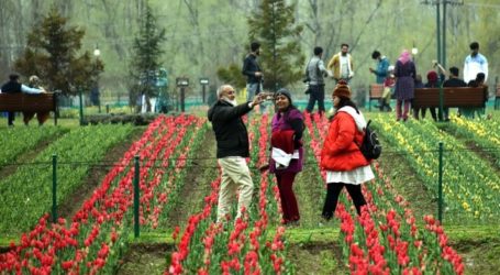 Tulip Garden in Kashmir Reopened to Tourists