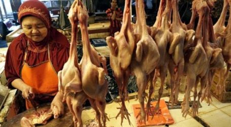French Muslims Fear About Banning Halal Poultry