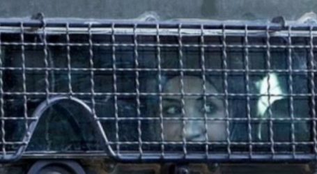 Israel Tortures Palestinian Women in Prison