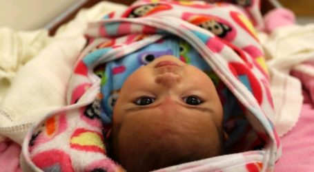 Gaza Witnesses 4012 New Births During Month