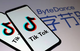TikTok’s Lead EU Regulator Opens Two Data Privacy Probes
