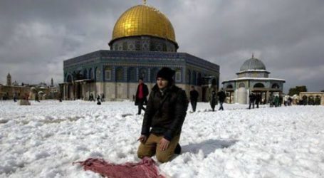 Palestine Reaches Winter Peak
