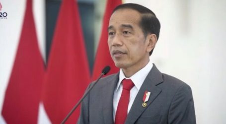 Indonesian President Joins Virtual Dialogue with BRICS Leaders