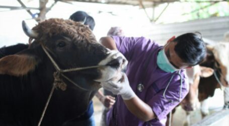 Jakarta to Prepare 47,000 Qurbani Animals for Idul Adha