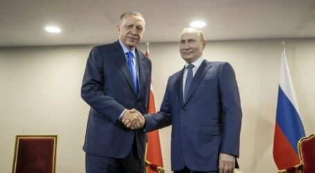 Erdogan, Putin Talks on Grain Issue