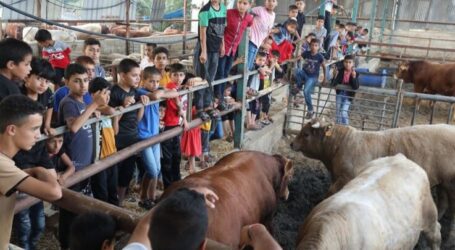 Gaza Citizens Celebrate Eid Al-Adha Amid Israeli Blockade