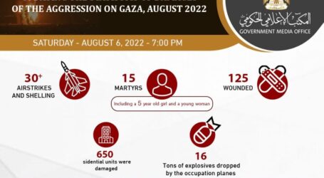 Number of Palestinian Victims of Israeli Aggression on Gaza Rises