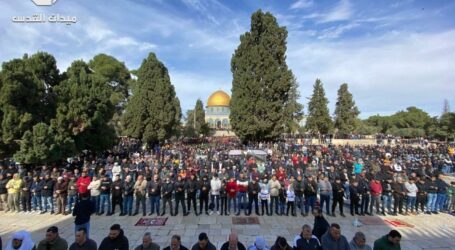 More Than 55,000 Palestinians Perform Friday Prayers at Al-Aqsa Mosque