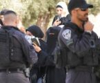 Egypt Condemns Israeli Settlers’ Escalating Violations Against Al-Aqsa Mosque