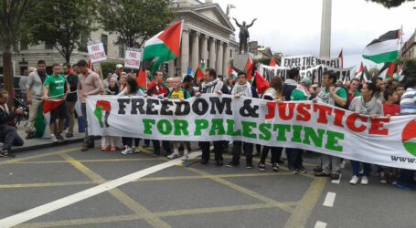 Irish Activists Fly Palestinian Flags in Match against Israeli Team