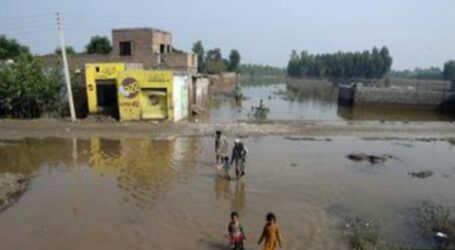 Death Toll from Pakistan Floods Reaches 1,290 People