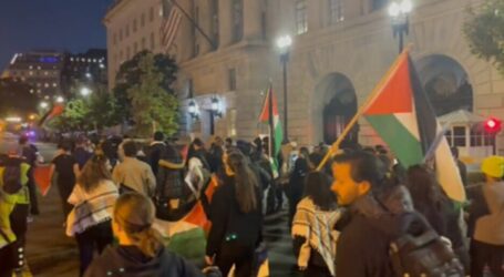 Activists March in Washington in Protest of Israeli Violence in West Bank