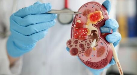 Indonesia: No New Cases of Acute Kidney Failure