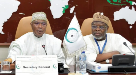 OIC Holds Meeting with African Group Member States