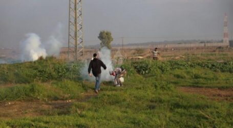 Israeli Occupation Forces Attack Palestinians Hunting Birds in Gaza
