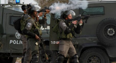 IOF Detain Palestinian Father and His Three Sons in Jerusalem