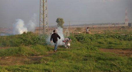 IOF Attack Palestinian Farmers East of Gaza