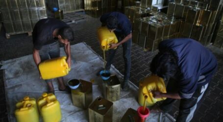 Gaza Farmers to Export 50 Tonnes Olive Oil to UAE and Saudi Arabia