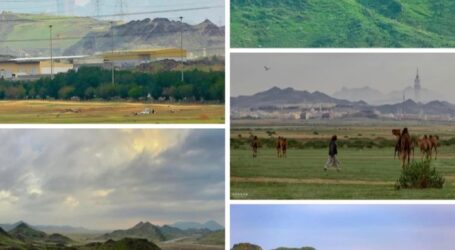 Mountains in Saudi Green After Weeks of Heavy Rain