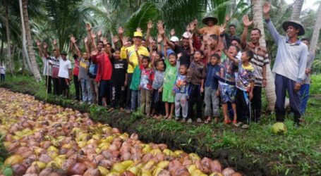 Coconut Becomes the Pulse of Life in Indragiri Hilir
