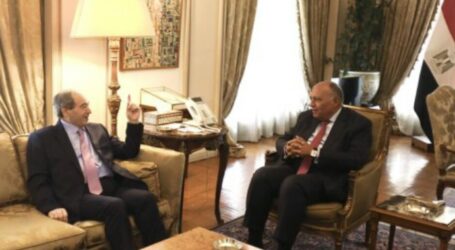 Egypt, Syria Agree to Strengthen Cooperation as Foreign Minister Visits Cairo