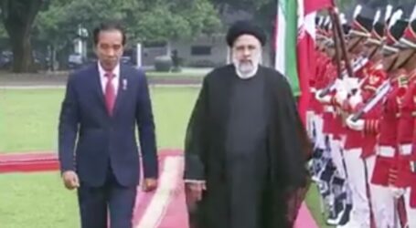 Iranian President, Indonesian President Agree with Continuing to Support Palestinian
